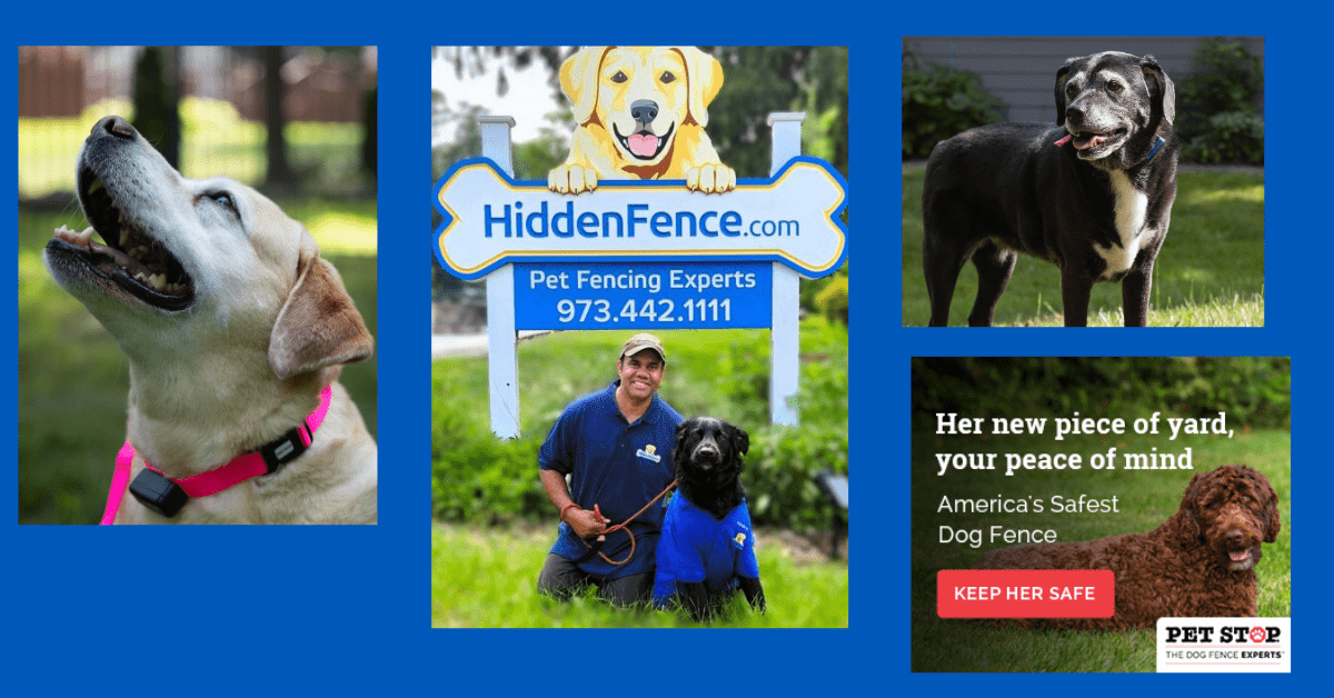 Featured image banner