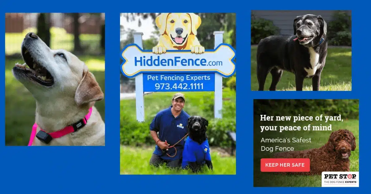 Featured image banner