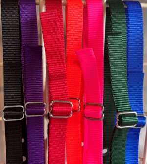Nylon Collar- Available in 7 colors