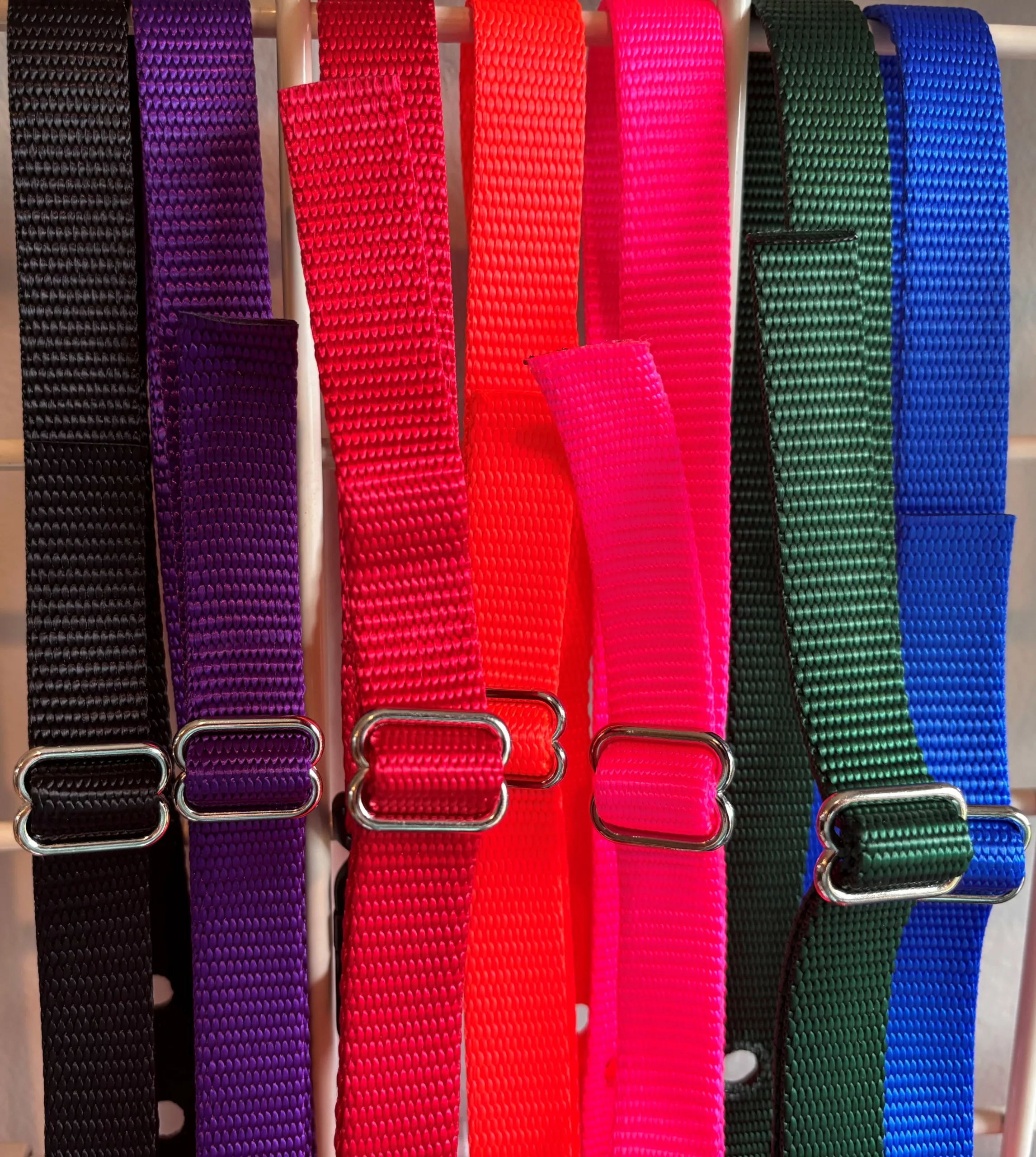 Nylon Collar- Available in 7 colors